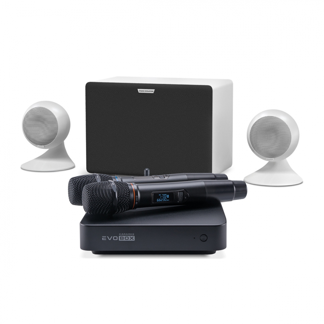 караоке-комплект EVOBOX Classic + EvoSound Sphere 2.1 в Сыктывкаре