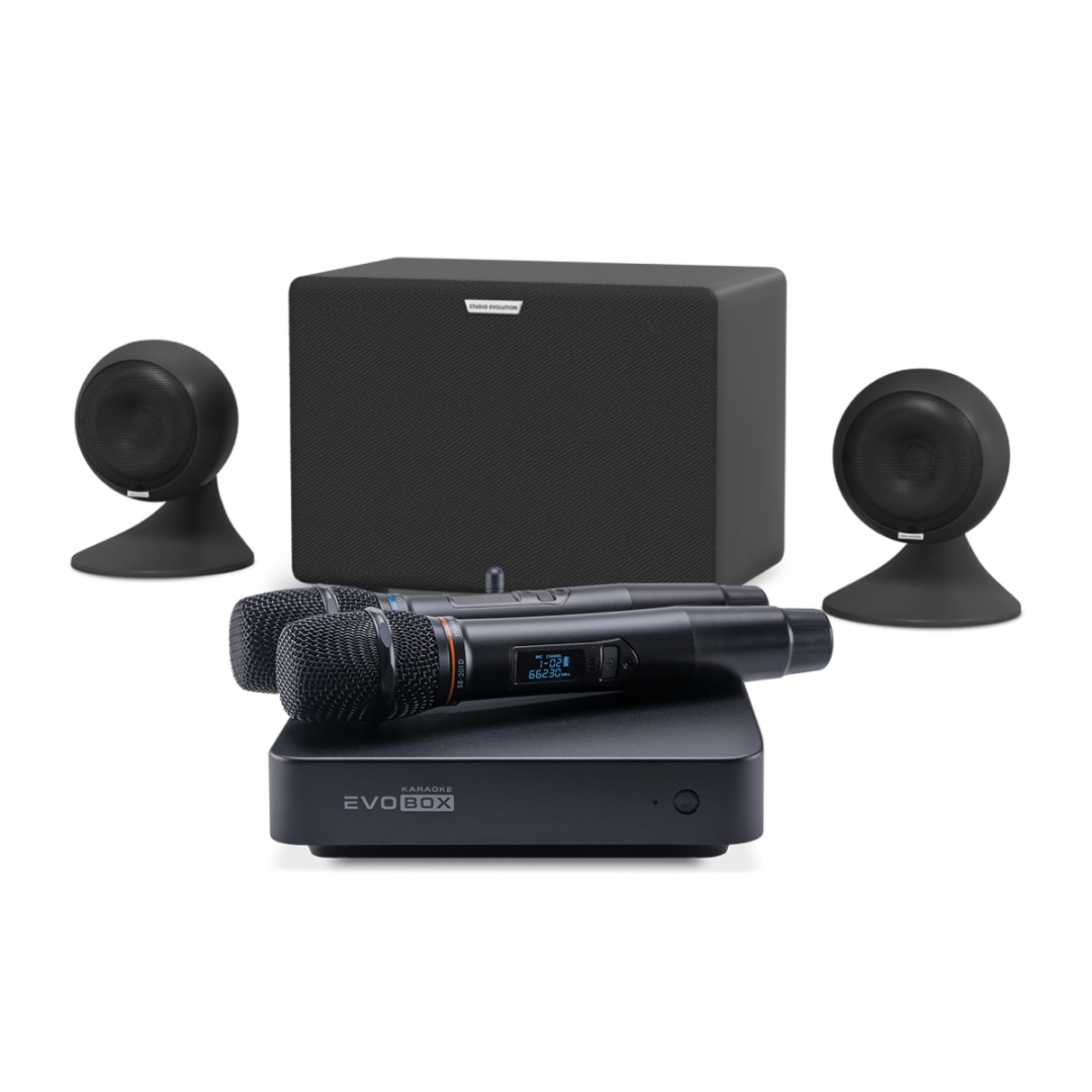 караоке-комплект EVOBOX Plus + EvoSound Sphere 2.1 в Сыктывкаре