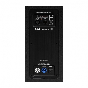 Активная акустическая система AST-310A в Сыктывкаре