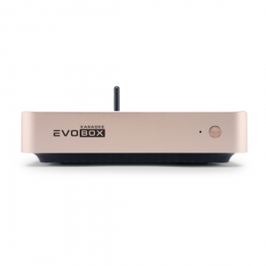 EVOBOX Plus караоке-система для дома в Сыктывкаре