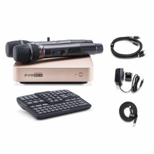 EVOBOX Plus караоке-система для дома в Сыктывкаре