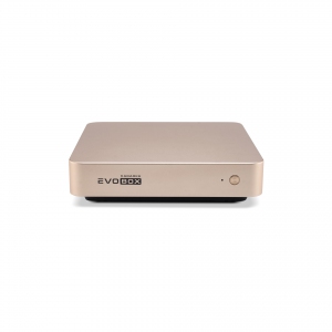 EVOBOX с микрофонами в Сыктывкаре