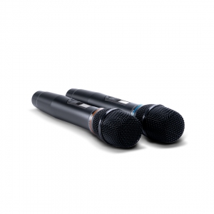SE-200D цифровые микрофоны в Сыктывкаре