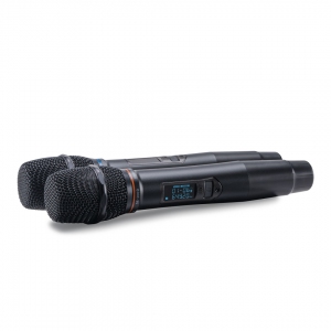 SE-200D цифровые микрофоны в Сыктывкаре